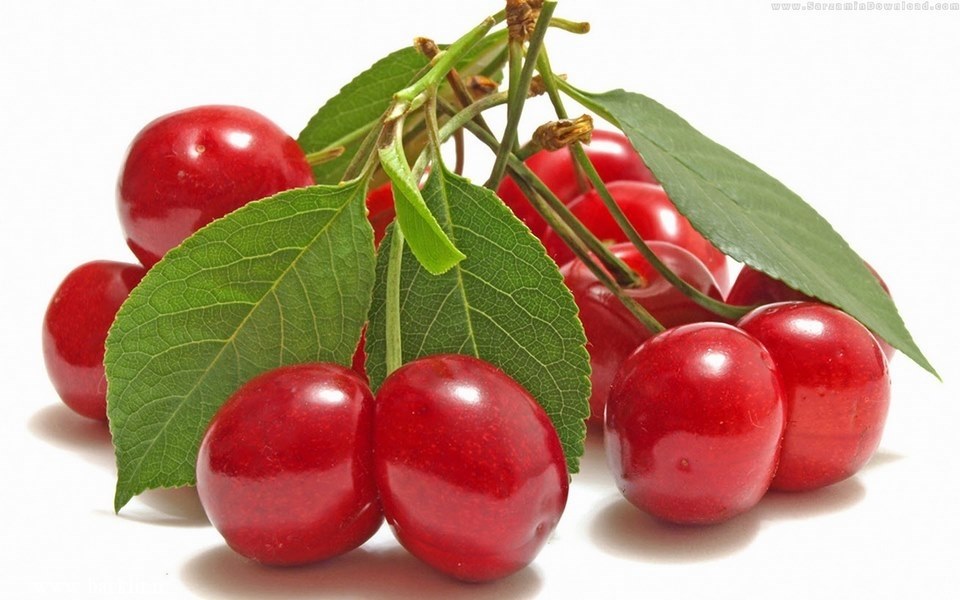 5404